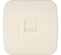 Розетка TФ TDM ELECTRIC слоновая кость (RJ-11) открытой установки IP20, серия "Дача" Народная SQ1824-0025