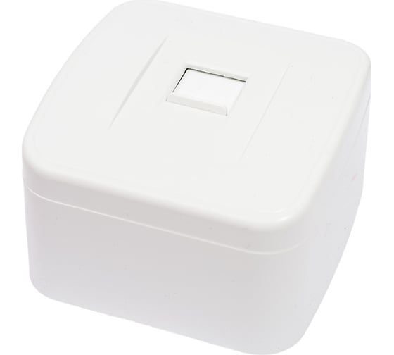 Компьютерная розетка TDM ELECTRIC RJ-45 открытой установки IP20, белая Дача Народная SQ1824-0011