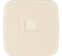 Розетка компьютерная TDM ELECTRIC слоновая кость (RJ-45) открытой установки IP20, серия "Дача" Народная SQ1824-0024