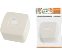 Компьютерная розетка TDM ELECTRIC RJ-45 открытой установки IP20, слоновая кость Дача Народная SQ1824-0024