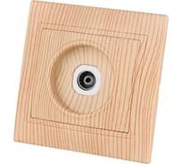 Телевизионная розетка TDM ELECTRIC простая 0-2400МГц, мама, ЭКО сосна Таймыр SQ1814-0222