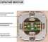 Телевизионная розетка TDM ELECTRIC простая 0-2400МГц, мама, ЭКО сосна Таймыр SQ1814-0222 3