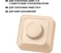 Светорегулятор TDM ELECTRIC поворотный RL 300Вт IP20 сл. кость Ладога SQ1801-0209 5