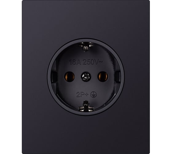 Розетка одноместная SMARTBUY с заземлением модульная 16А черная акрил Альтаир SBE-m11ba-16-S1-Z