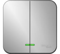 2-клавишный выключатель Systeme Electric Blanca наружный, Алюминий с подсветкой 10А SE BLNVA105113