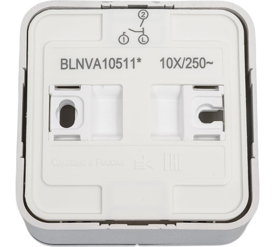 2-клавишный выключатель Systeme Electric Blanca наружный, Алюминий с подсветкой 10А SE BLNVA105113
