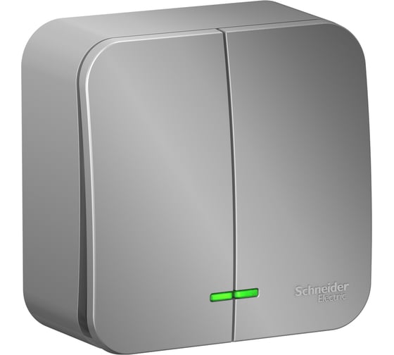 2-клавишный выключатель Systeme Electric Blanca наружный, Алюминий с подсветкой 10А SE BLNVA105113 1