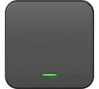 1-клавишный вылючатель с подсветкой Systeme Electric (Schneider Electric) Blanca наруж антрацит 10А SE BLNVA101116