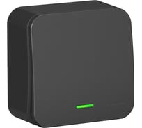 1-клавишный выключатель Systeme Electric Blanca наружный, Антрацит, с подсветкой SE BLNVA101106