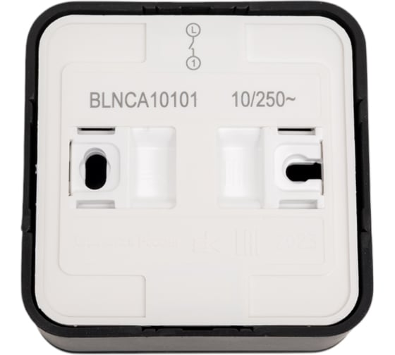 1-клавишный выключатель Systeme Electric Blanca наружный, Антрацит с самовозвратом SE BLNCA101016