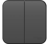 2-клавишный выключатель Systeme Electric Blanca наружный, Антрацит 10А, 250B SE BLNVA105016