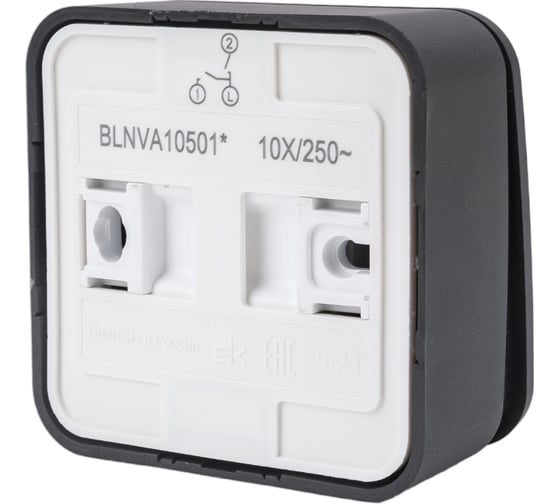 2-клавишный выключатель Systeme Electric Blanca наружный, Антрацит 10А, 250B SE BLNVA105016