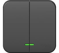 2-клавишный выключатель Systeme Electric Blanca наружный, Антрацит с подсветкой 10А SE BLNVA105116