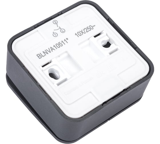 2-клавишный выключатель Systeme Electric Blanca наружный, Антрацит с подсветкой 10А SE BLNVA105116