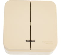 2-клавишный выключатель Systeme Electric Blanca наружный, бежевый cх.5 с подсветкой SE BLNVA105117