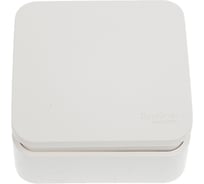 1-клавишный выключатель Systeme Electric Blanca наружный, Молочный 10А SE BLNVA101012