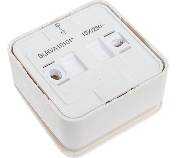 1-клавишный выключатель Systeme Electric Blanca наружный, Молочный 10А SE BLNVA101012