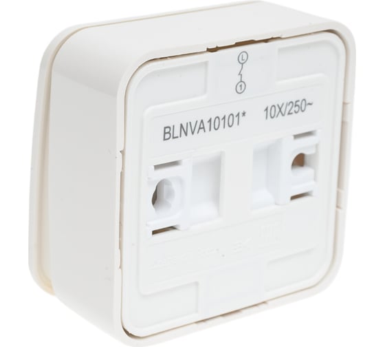 1-клавишный выключатель Systeme Electric Blanca наружный, Молочный 10А SE BLNVA101012