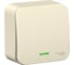 1-клавишный выключатель Systeme Electric Blanca наружный, Молочный, с подсветкой 10А SE BLNVA101112 2