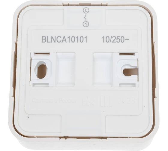 1-клавишный выключатель Systeme Electric Blanca наружный, Молочный, с самовозвратом SE BLNCA101012