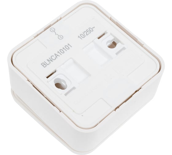 1-клавишный выключатель Systeme Electric Blanca наружный, Молочный, с самовозвратом SE BLNCA101012