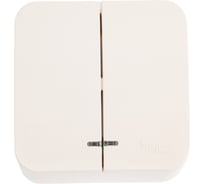 2-клавишный выключатель Systeme Electric Blanca наружный, Молочный, с подсветкой, 10А SE BLNVA105112