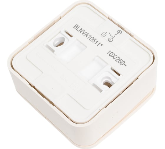 2-клавишный выключатель Systeme Electric Blanca наружный, Молочный, с подсветкой, 10А SE BLNVA105112