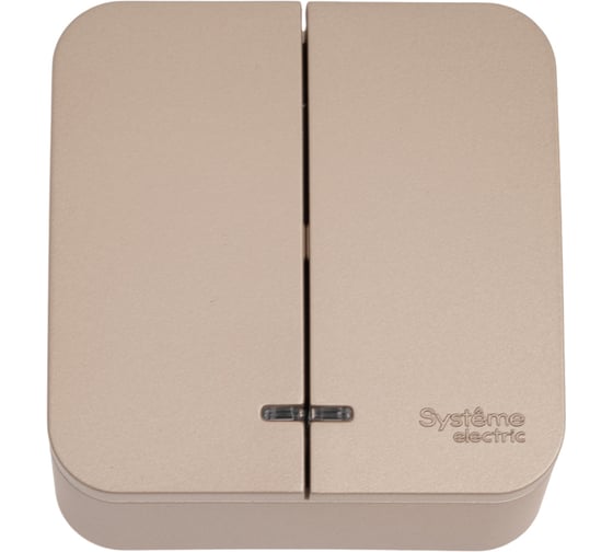 2-клавишный выключатель Systeme Electric Blanca наружный, Титан с подсветкой 10А, 250B SE BLNVA105114