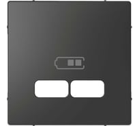 Накладка для USB Systeme Electric Merten D-Life антрацит, центральная, SE MTN4367-6034