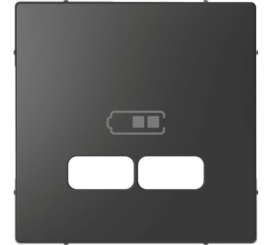 Накладка для USB Systeme Electric Merten D-Life антрацит, центральная, SE MTN4367-6034 1