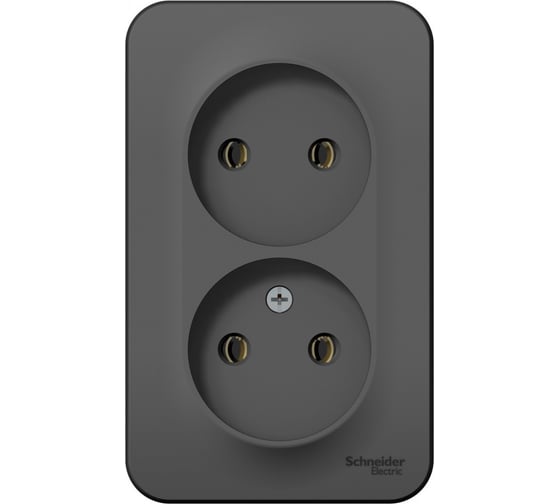 2-ая наружная розетка Systeme Electric Blanca Антрацит, без заземления, без шторок, 16А, 250В SE BLNRA000216