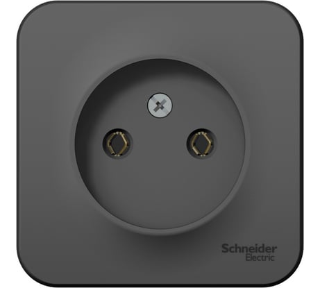 Наружная розетка Systeme Electric Blanca Антрацит, без заземления, без шторок, 16А, 250В SE BLNRA000116