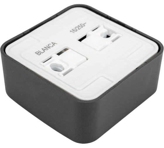 Наружная розетка Systeme Electric Blanca Антрацит, без заземления, без шторок, 16А, 250В SE BLNRA000116