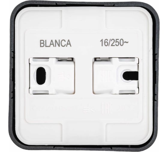 Наружная розетка Systeme Electric Blanca Антрацит, без заземления, без шторок, 16А, 250В SE BLNRA000116