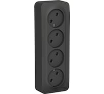4-ая наружная розетка Systeme Electric Blanca Антрацит, без заземления, без шторок, 16А, 250В SE BLNRA000416