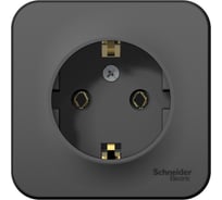 Наружная розетка Systeme Electric Blanca Антрацит, с заземлением, без шторок, 16А, 250В SE BLNRA010116