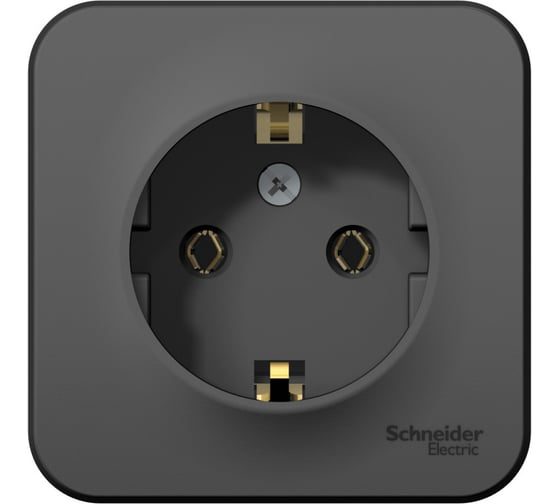 Наружная розетка Systeme Electric Blanca Антрацит, с заземлением, без шторок, 16А, 250В SE BLNRA010116