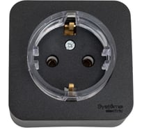 Наружная розетка Systeme Electric Blanca Антрацит, с заземлением, без шторок, тонкая, 16А, 250В SE BLNRA110116
