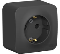 Наружная розетка Systeme Electric Blanca Антрацит, с заземлением, со шторками, 16А, 250В SE BLNRA011116
