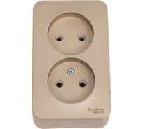 2-ая наружная розетка Systeme Electric Blanca Титан, без заземления, без шторок, 16А, 250В SE BLNRA000214