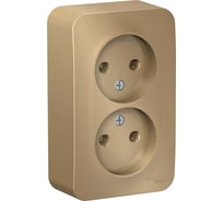 2-ая наружная розетка Systeme Electric Blanca Титан, без заземления, без шторок, 16А, 250В SE BLNRA000214