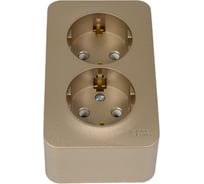 2-ая наружная розетка Systeme Electric Blanca Титан, с заземлением, без шторок, 16А, 250В SE BLNRA010214