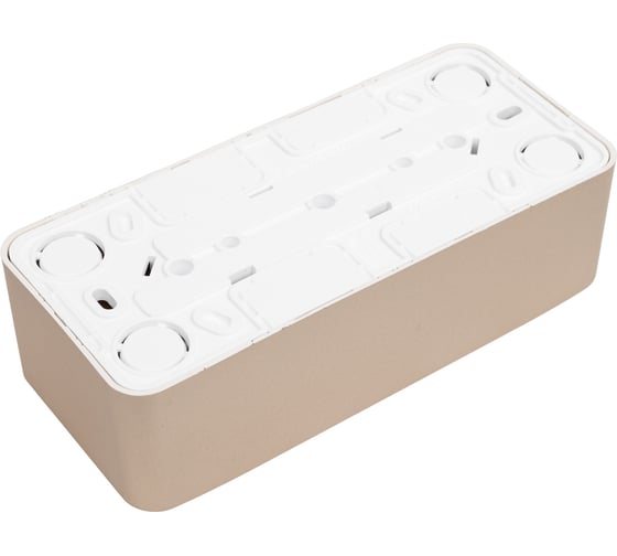 3-ая наружная розетка Systeme Electric Blanca Титан, с заземлением, со шторками, 16А, 250В SE BLNRA011314