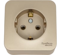 Наружная розетка Systeme Electric SE Blanca Титан, с заземлением, без шторок, 16А, 250В BLNRA010114