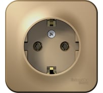 Наружная розетка Systeme Electric SE Blanca Титан, с заземлением, без шторок, 16А, 250В BLNRA010114