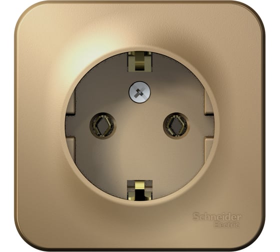 Наружная розетка Systeme Electric SE Blanca Титан, с заземлением, без шторок, 16А, 250В BLNRA010114 1