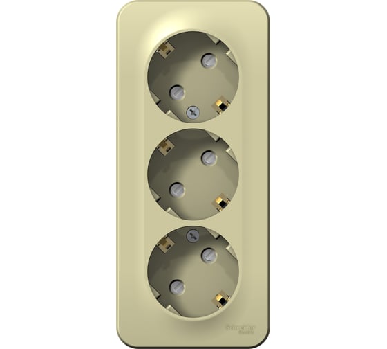 3-ая наружная розетка Systeme Electric Blanca Бежевый, с заземлением, со шторками, изолированная пластина SE BLNRA011317 1