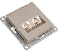 Двойная компьютерная розетка Systeme Electric AtlasDesign Шампань RJ45+RJ45, кат.5E SE ATN000585
