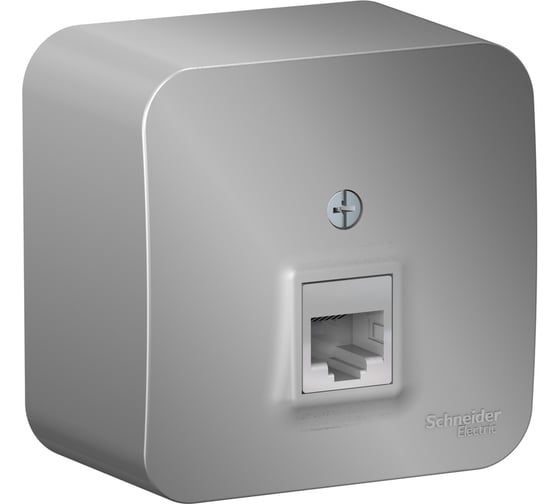 Компьютерная розетка Systeme Electric Blanca наружная Алюминий RJ45, кат.5E, изолир SE BLNIA045003