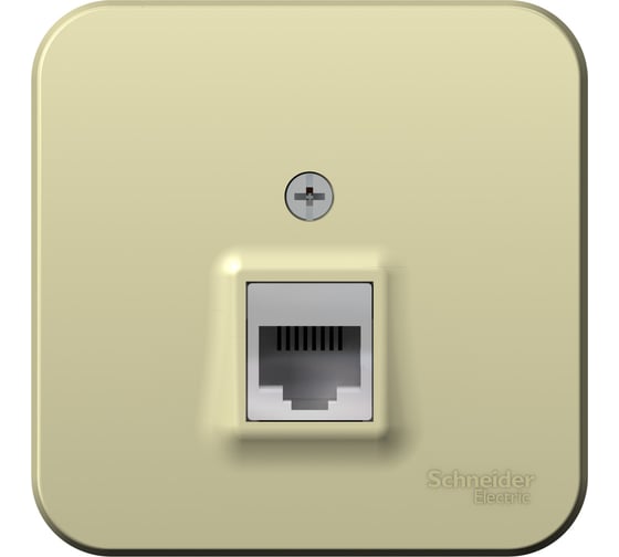 Компьютерная розетка Systeme Electric Blanca наружная бежевый RJ45, кат.5E SE BLNIA045007